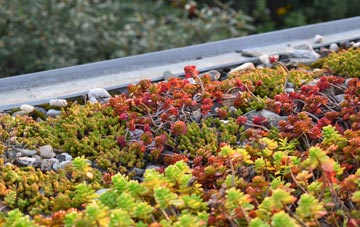 the cost of Cronberry green roof installation