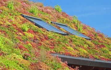 Cronberry living roof systems