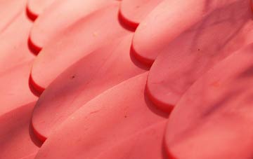 Cronberry plastic roof costs