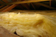 Cronberry pitch roof insulation